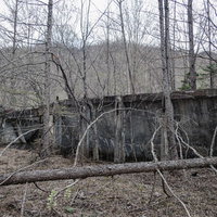 冬枯れ森林に朽ちる灰色コンクリート廃工場と倒木の写真