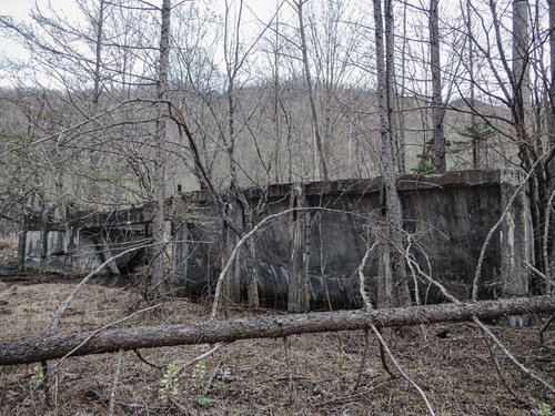 冬枯れ森林に朽ちる灰色コンクリート廃工場と倒木