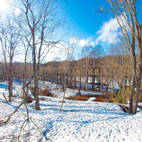 残雪の広がる廃工場の骨組みと雑木林の冬景色の写真