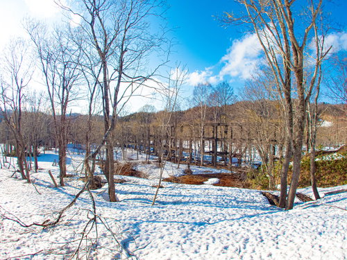 残雪の広がる廃工場の骨組みと雑木林の冬景色