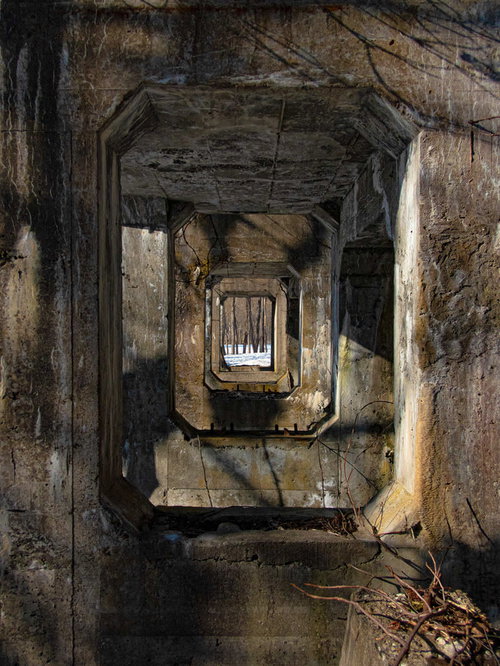 廃工場の躯体と骨組み 規則的に配置されたコンクリート柱梁の構造体