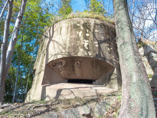 林の中に残る防空監視所の遺構