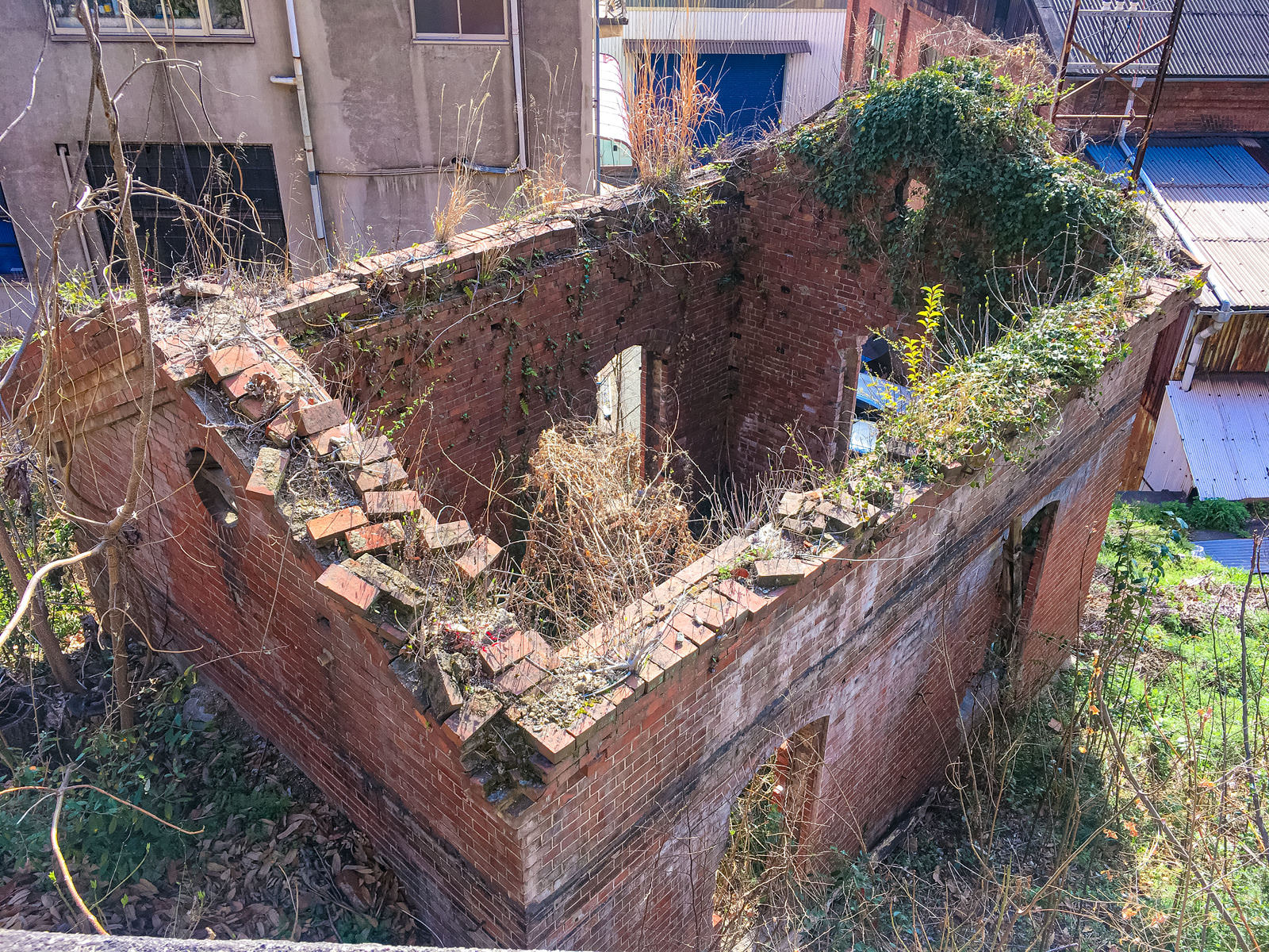倒壊した赤レンガ造りの建物跡で、つる植物が覆い繁茂している廃墟の写真