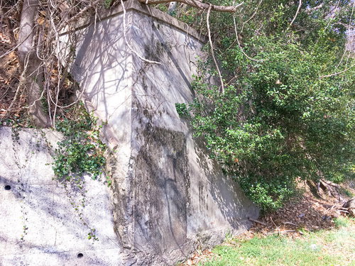 呉市のコンクリート擁壁と木々が共存する都市景観