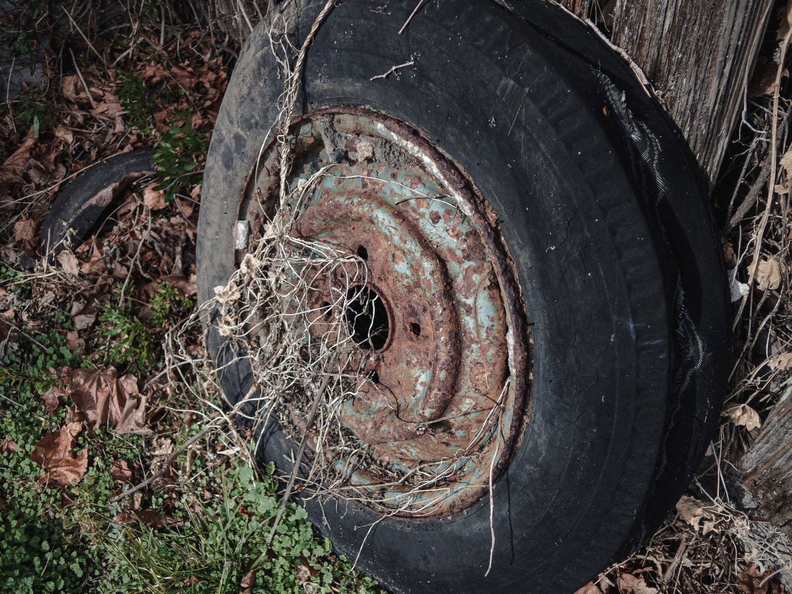 錆びた車輪が詰まった黒いタイヤ、枯れた雑草に囲まれている