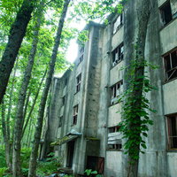 森に囲まれた廃アパート群と差し込む日差しの風景の写真