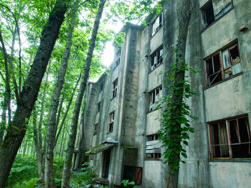 森に囲まれた廃アパート群と差し込む日差しの風景