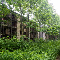 鬱蒼と茂る雑草奥に佇む廃マンション、風化したコンクリート造の建物の写真