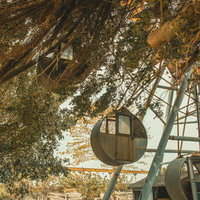 錆びついた観覧車と蔓が絡む廃遊園地の写真