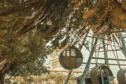 錆びついた観覧車と蔓が絡む廃遊園地