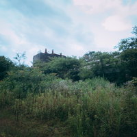 鬱蒼と繁茂する雑草に埋もれた廃工場の風景の写真