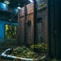 廃工場内部の朽ち果てたレンガ壁と緑の苔や蔦の写真