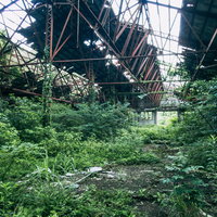 朽ち果てた廃工場の鉄骨から差し込む光と生い茂る雑草の写真