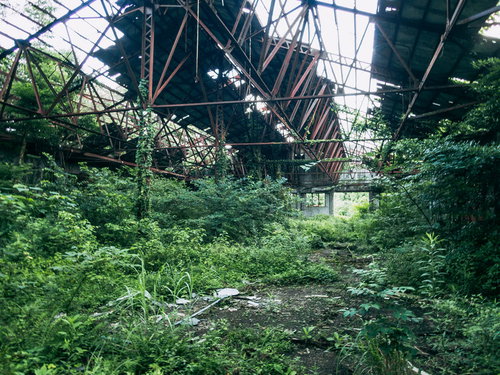 朽ち果てた廃工場の鉄骨から差し込む光と生い茂る雑草