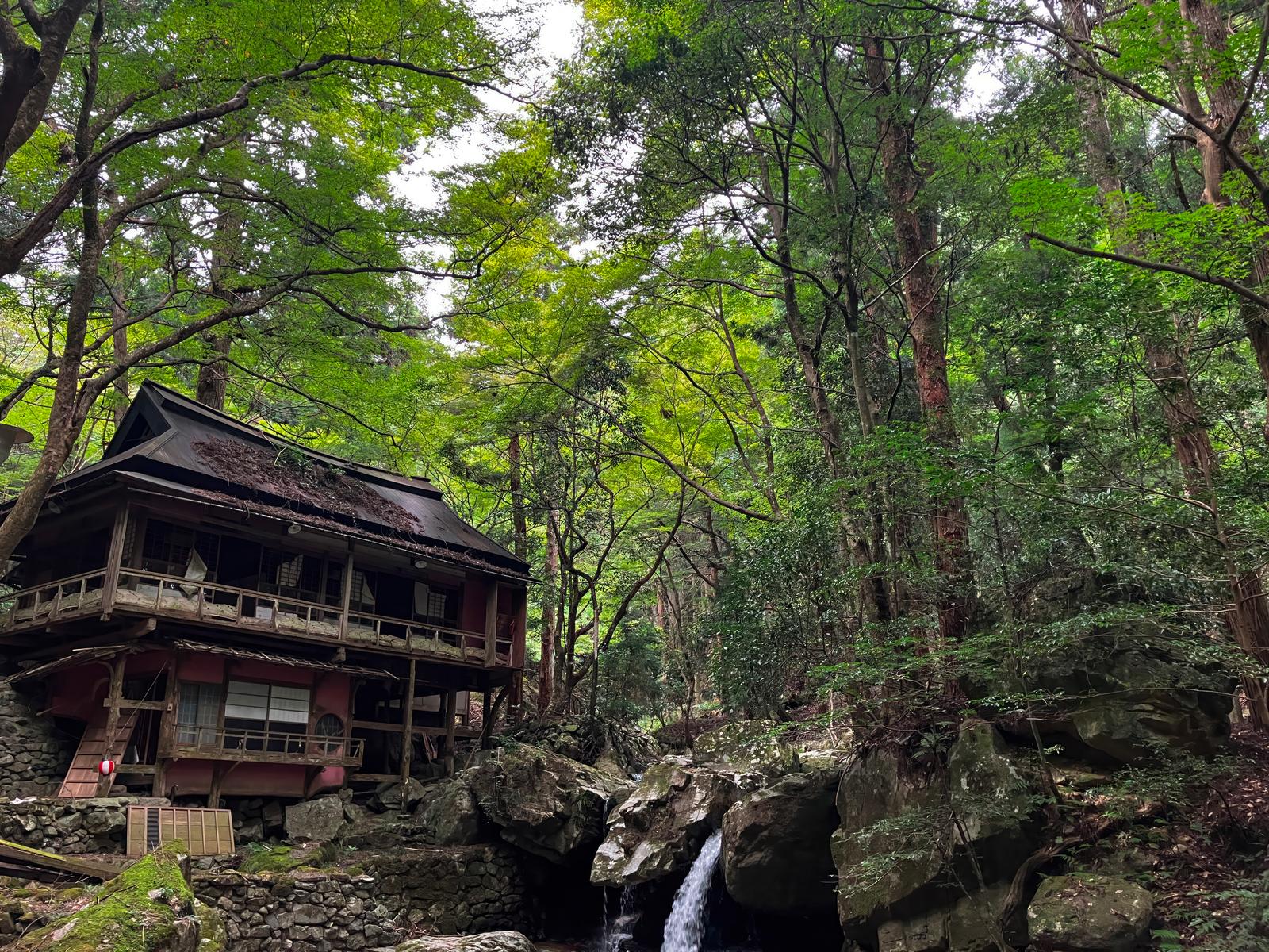 緑の深い森に囲まれた廃休憩所と渓流の風景