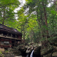 森に囲まれた渓谷の廃休憩所、樹木に埋もれた古い瓦葺き家屋の写真