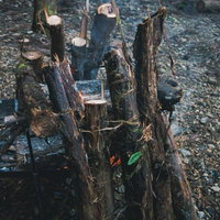 キャンプの炊事に使う焚き火台に薪を組んで準備の写真