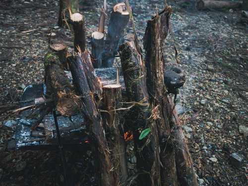 キャンプの炊事に使う焚き火台に薪を組んで準備