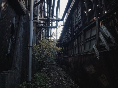 製紙工場の裏側にある薄暗い抜け道