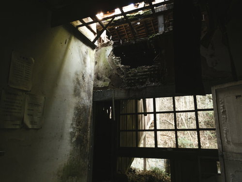 朽ちた屋根から射し込む光の廃病院の室内風景
