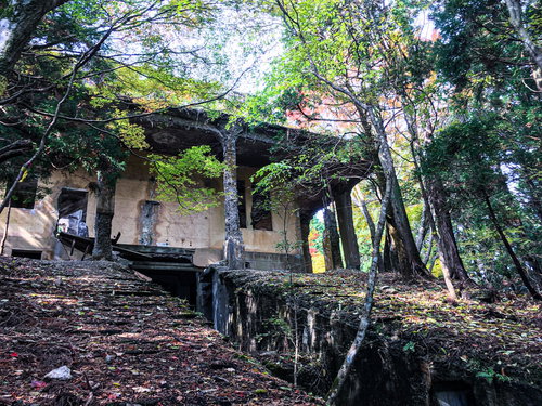 森の中に残るケーブルカー駅舎跡と木々に囲まれた廃墟
