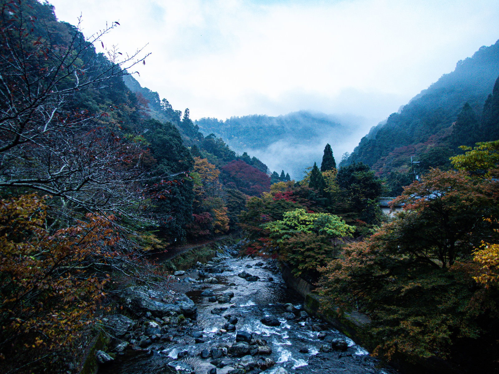 霧の中に消える山と紅葉が広がる渓流