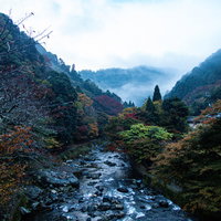 霧がかかる山間の渓流と紅葉の写真