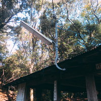 森の中の小屋と街灯、木々に囲まれた休憩所の写真