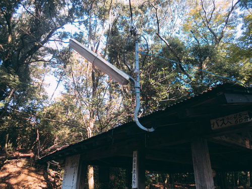 森の中の小屋と街灯、木々に囲まれた休憩所