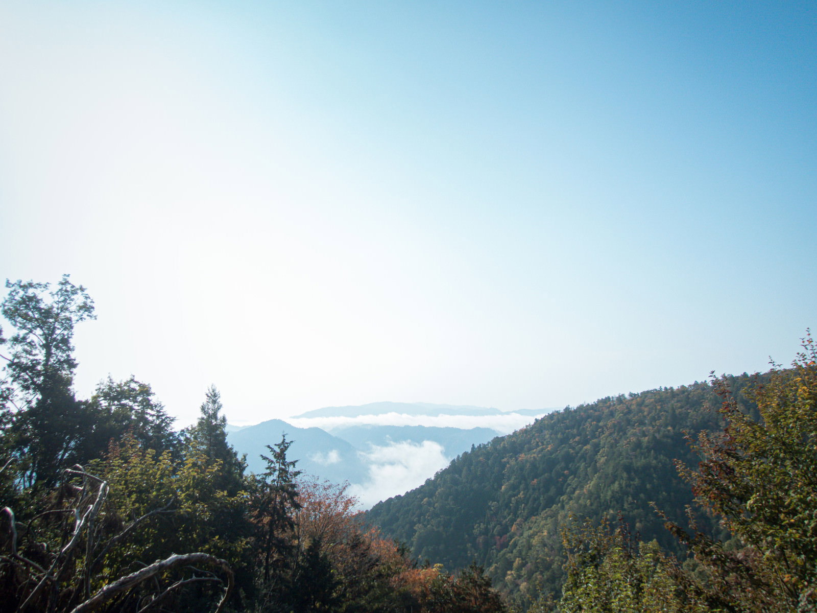 山頂から見下ろした霞がかった青空と緑の木々の風景