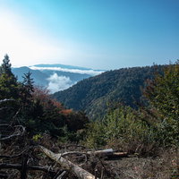 晴れ渡る空と山々に横たわる倒木と緑の森林風景の写真