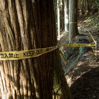 登山道沿いに張られた黄色い立入禁止のテープの写真
