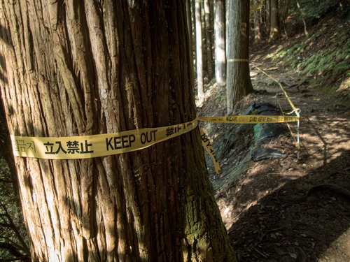 登山道沿いに張られた黄色い立入禁止のテープ