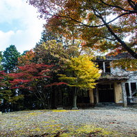 見ごろを迎える紅葉とケーブルカー駅舎跡の秋景の写真