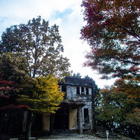 ケーブルカー駅舎跡を取り囲む秋の紅葉した木々の写真