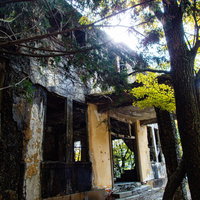 壁を這う蔦とケーブルカー駅舎跡の秋の紅葉風景の写真