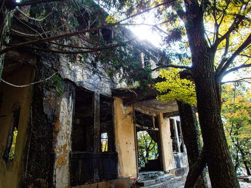 壁を這う蔦とケーブルカー駅舎跡の秋の紅葉風景