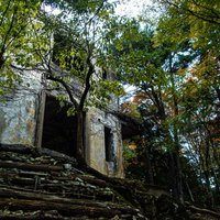 森の中のケーブルカー駅舎跡と苔むした石段の写真