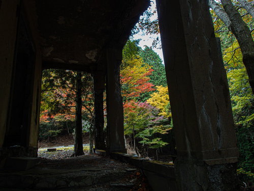 ひび割れた古い柱越しに見える秋の紅葉と落ち葉の風景