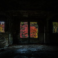 暗がりの廃屋の窓に浮かぶ赤々とした秋の紅葉風景の写真