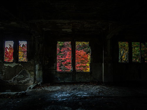 暗がりの廃屋の窓に浮かぶ赤々とした秋の紅葉風景