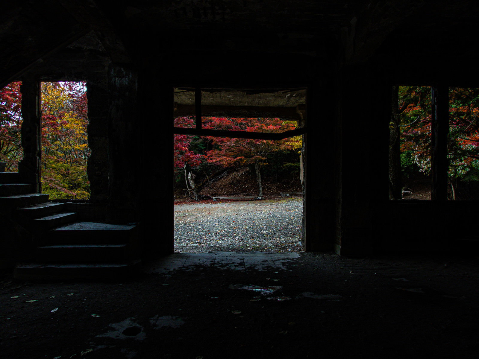 古い廃屋の室内から窓越しに見える色鮮やかな紅葉した木々