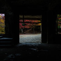 廃屋の窓から見た外の紅葉と秋の風景、季節の移ろいの写真