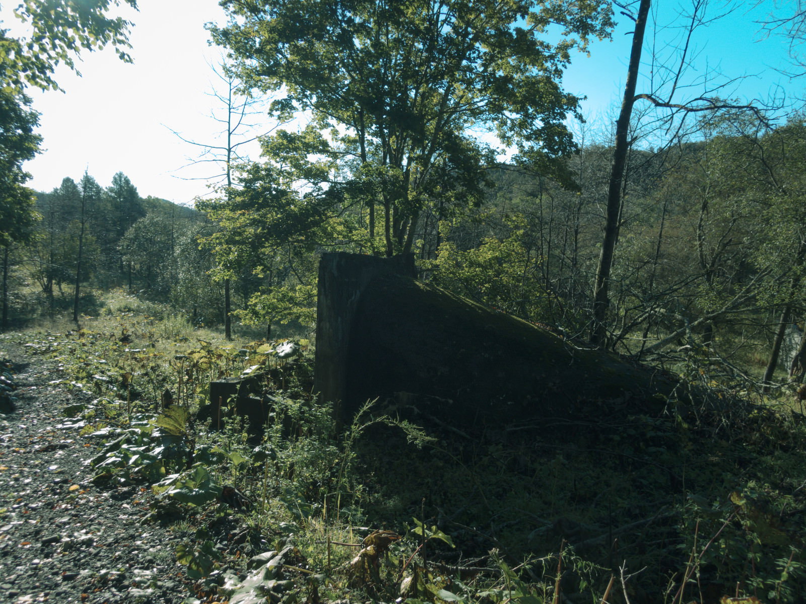 炭鉱跡の廃墟周辺に生い茂る緑の木々と青空