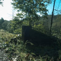 炭鉱跡に生い茂る木々と青空の写真