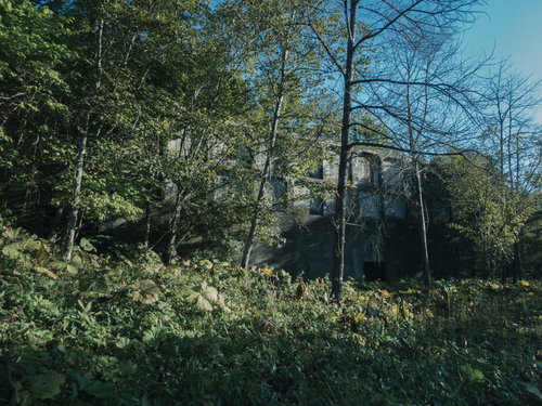 緑豊かな木々の間から見える炭鉱施設跡と自然の融合