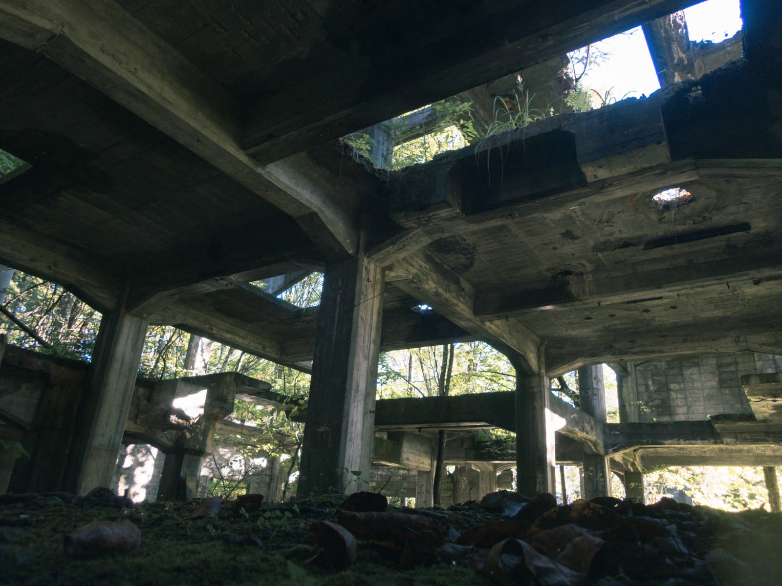 コンクリート柱と梁が残る炭鉱施設遺構の内部、天井に開口部から光が差し込む