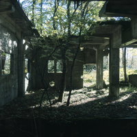 炭鉱施設遺構から伸びる木々と光が差し込む廃墟空間の写真