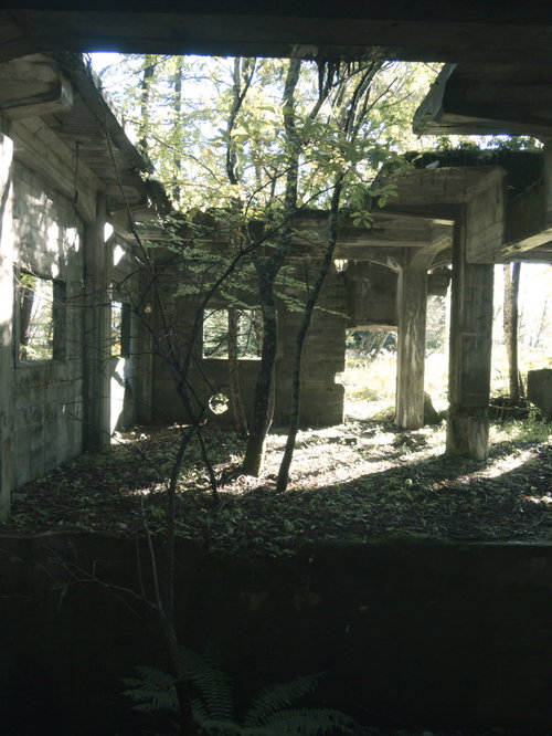 廃墟となった炭鉱施設の遺構から伸びる木々