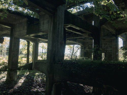 炭鉱施設の遺構に育つ緑の草木と朽ちたコンクリート構造物